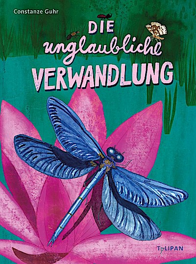 Die unglaubliche Verwandlung