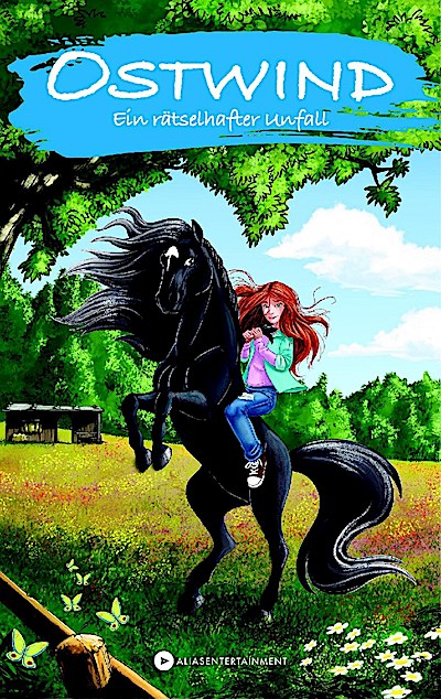 Ostwind - Ein rätselhafter Unfall