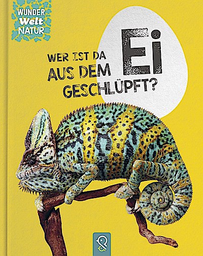 Wer ist da aus dem Ei geschlüpft?