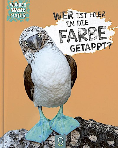Wer ist hier in die Farbe getappt?